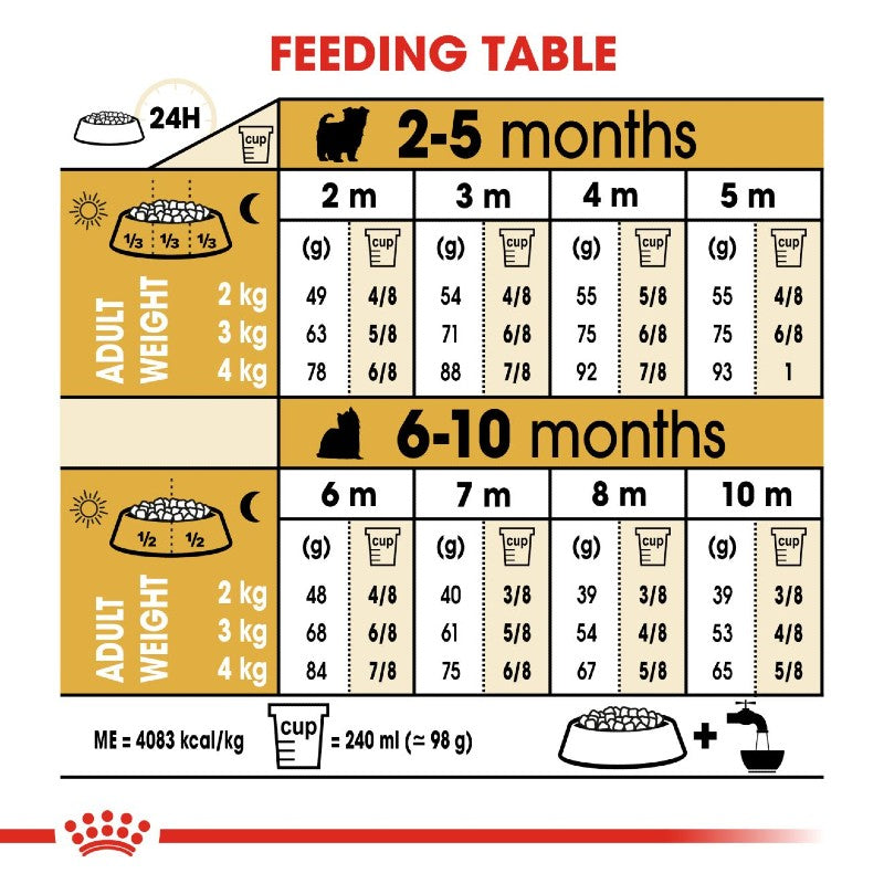 Royal canin Yorkshire Terrier Puppy Infographic 4