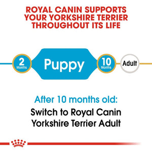 Royal canin Yorkshire Terrier Puppy Infographic 8