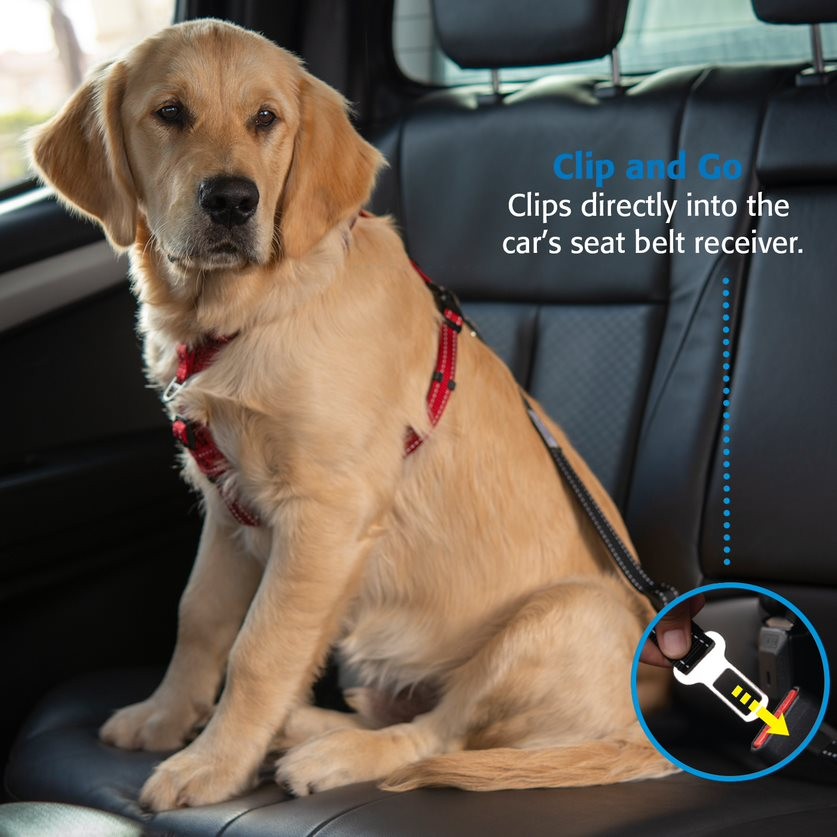 Rogz Dog Car-Safe Adjustable Seat Belt Clip