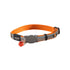 Rogz NightCat Reflective Cat Collar Orange Birds on Wire