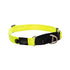 Rogz Utility Control Collar Web Dayglo Small