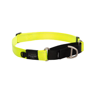 Rogz Utility Control Collar Web Dayglo X Large