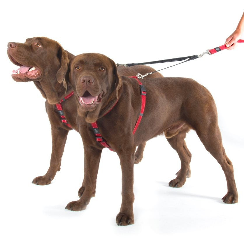 Rogz Utility Reflective Splitz - Split Lead