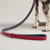 Rosewood and Joules Pink Leather Lead