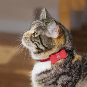 Rosewood Cat Collars - Red Bow Tie