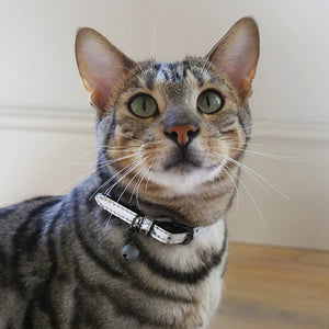Rosewood Cat Collars - Silver