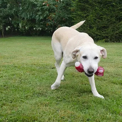 Rosewood Meaty Bacon Takeaway Bone - Large