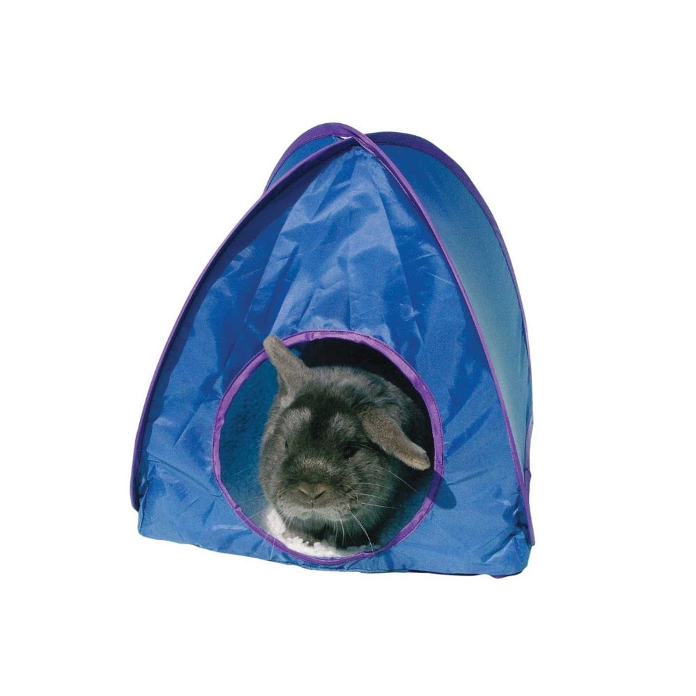 Rosewood Pop Up Tent