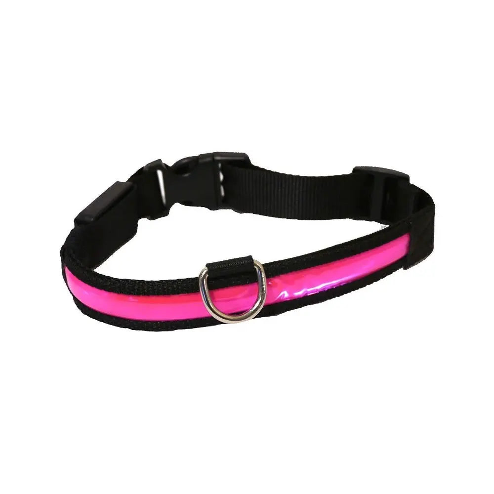 Rosewood Premium Flashing Collar Pink
