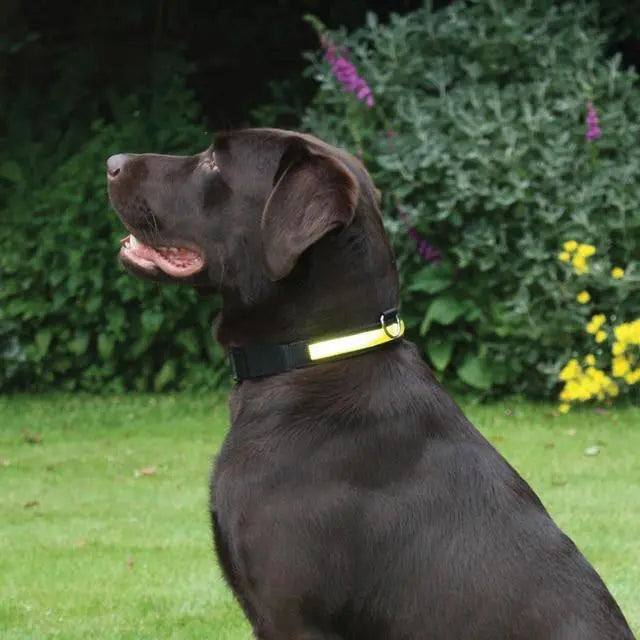Rosewood Premium Flashing Collar