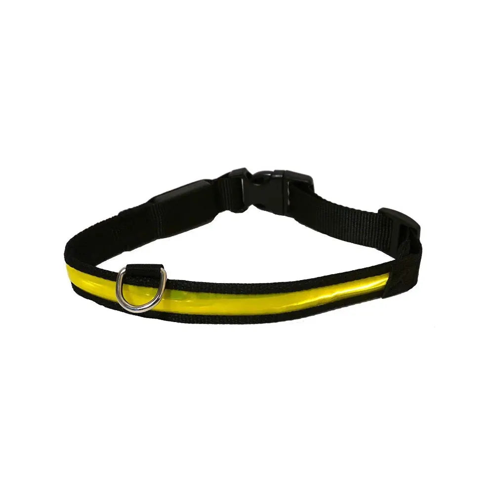 Rosewood Premium Flashing Collar Yellow