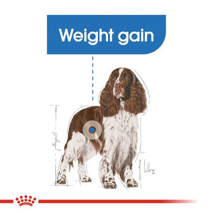 Royal Canin Dog Light Weight Care - Medium Infographic 2