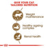 Royal Canin Sterilised Ageing 12+ Cat Infographic 2