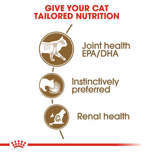 Royal Canin Ageing +12 Cat Wet Food Pouch Infographic 2
