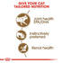 Royal Canin Ageing +12 Cat Wet Food Pouch Infographic 2