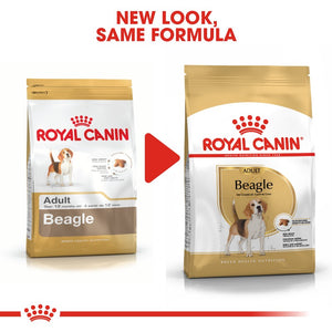 Royal Canin Beagle Adult Infographic 4