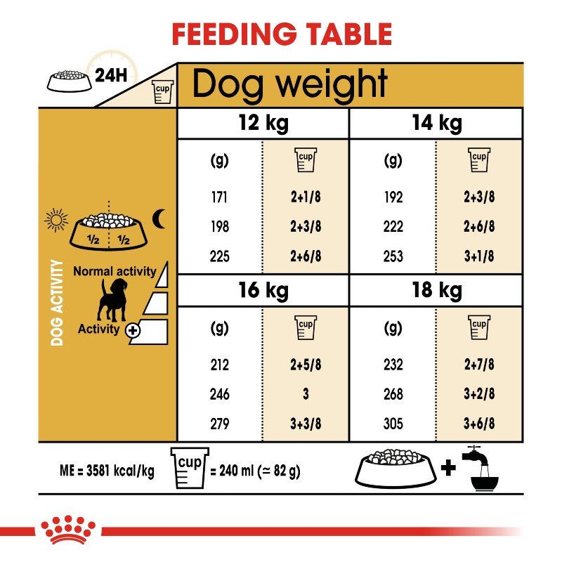 Royal Canin Beagle Adult Infographic 6