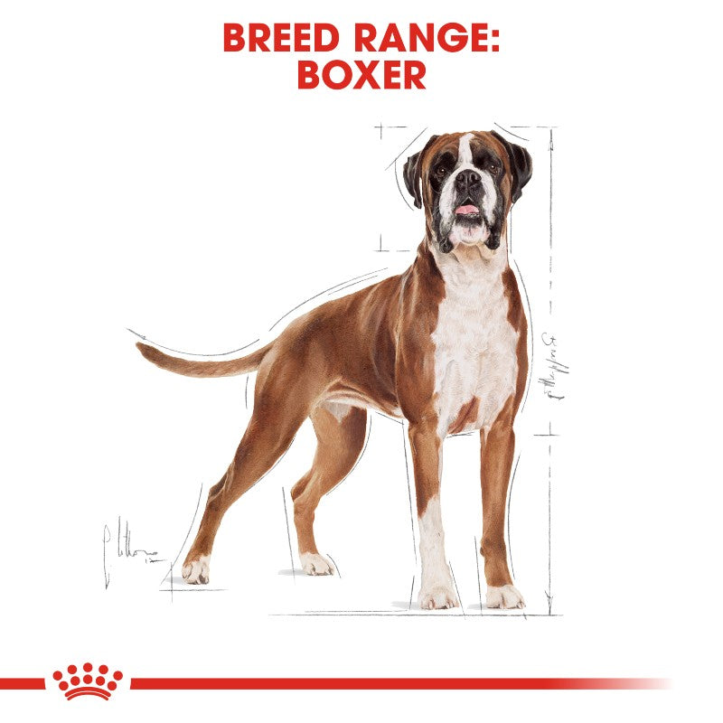 Royal Canin Boxer Adult Infographic 1