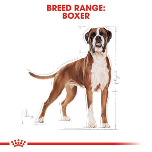 Royal Canin Boxer Adult Infographic 1
