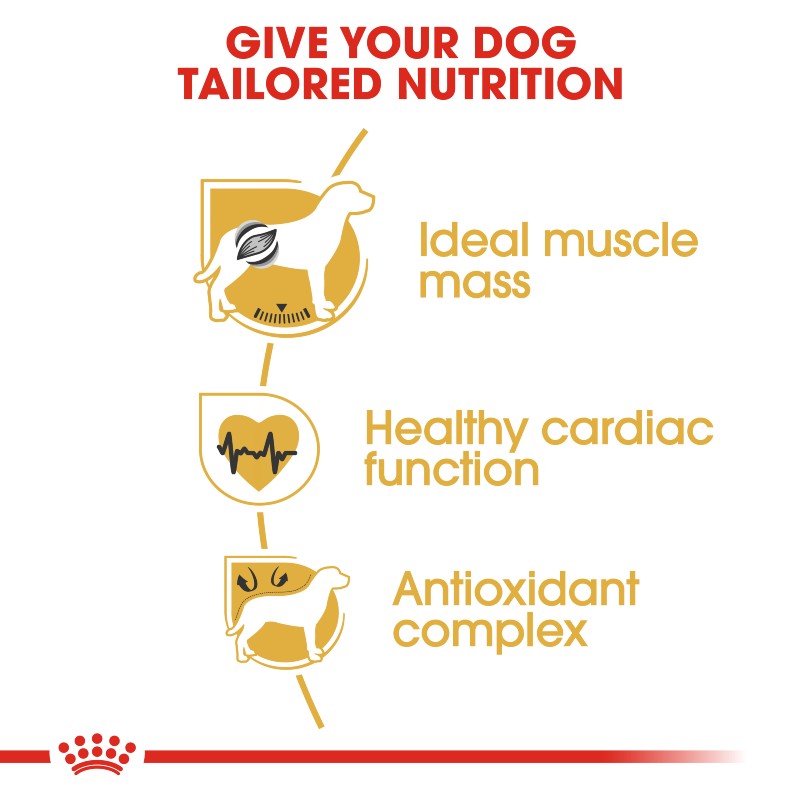 Royal Canin Boxer Adult Infographic 3