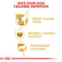 Royal Canin Boxer Adult Infographic 3