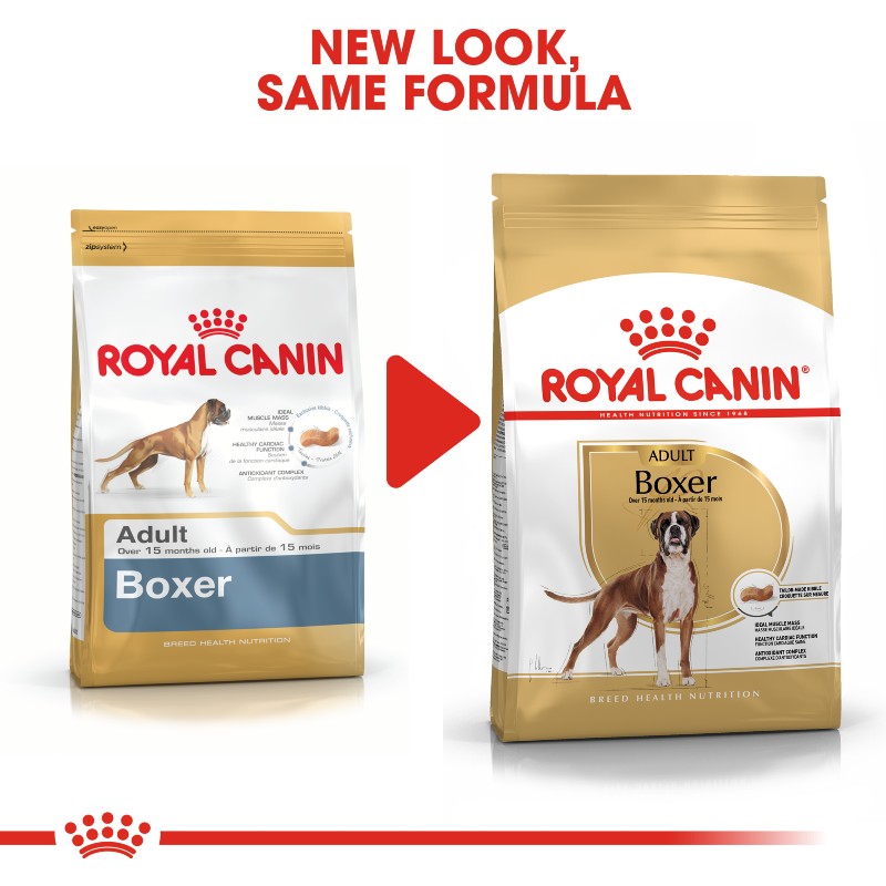 Royal Canin Boxer Adult Infographic 4