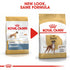 Royal Canin Boxer Adult Infographic 4