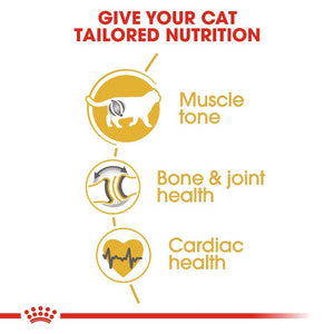 Royal Canin British Shorthair Adult Cat Infographic 3