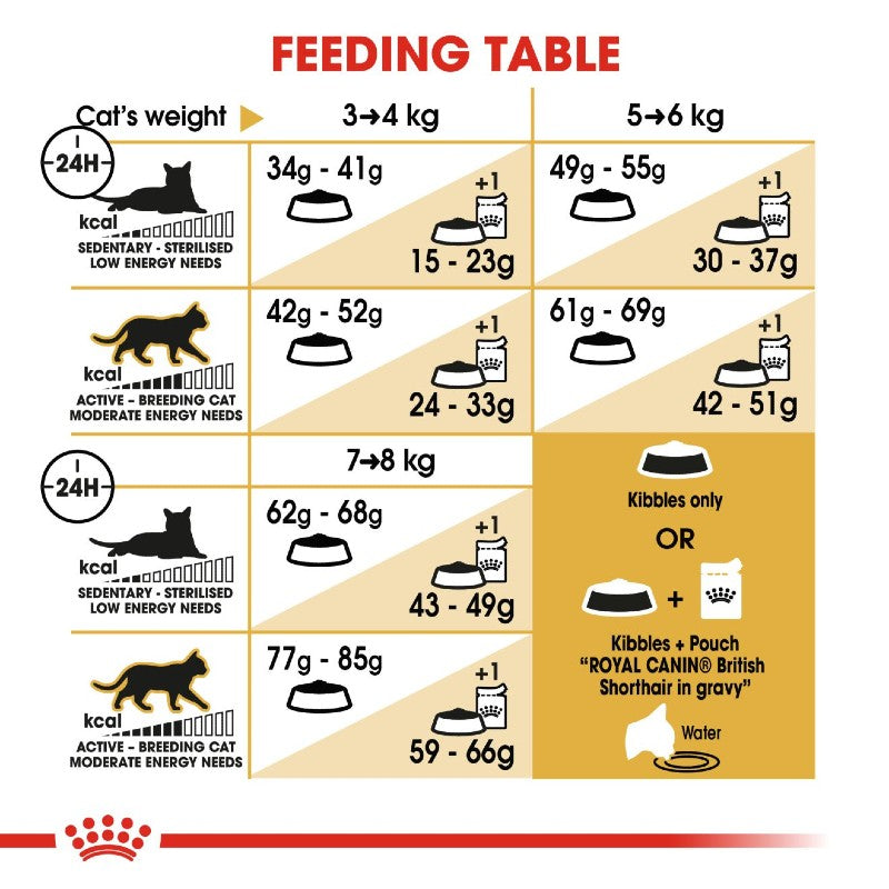 Royal Canin British Shorthair Adult Cat Infographic 6