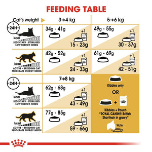 Royal Canin British Shorthair Adult Cat Infographic 6