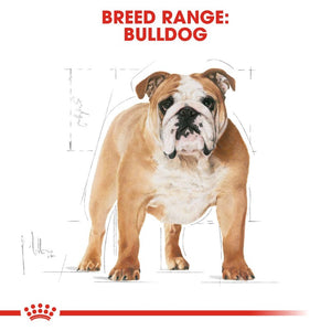 Royal Canin English Bulldog Adult Info 1