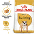 Royal Canin English Bulldog Adult Info 7