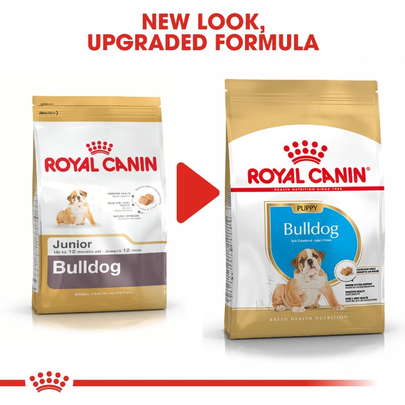 Royal Canin English Bulldog Puppy Infographic 3