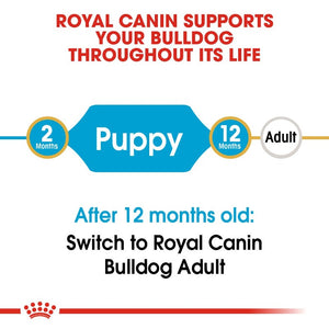 Royal Canin English Bulldog Puppy Infographic 8