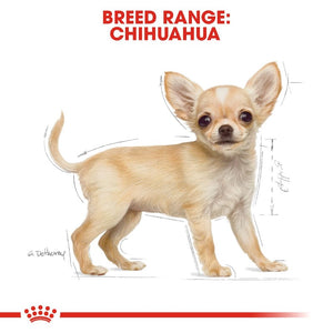 Royal Canin Chihuahua Puppy Infographic 6