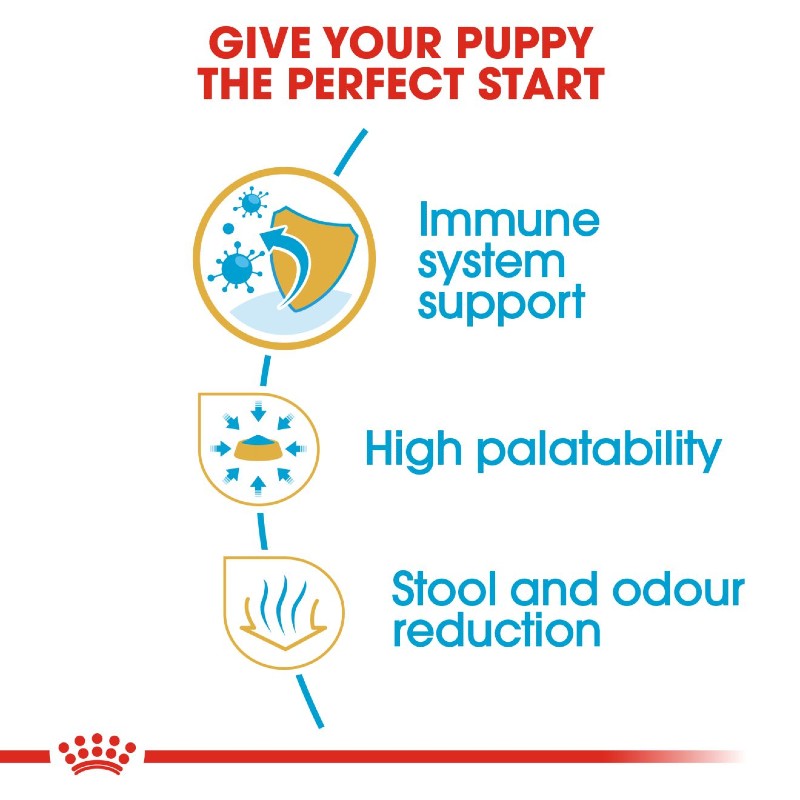 Royal Canin Chihuahua Puppy Infographic 7