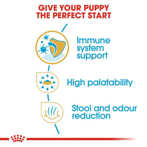 Royal Canin Chihuahua Puppy Infographic 7