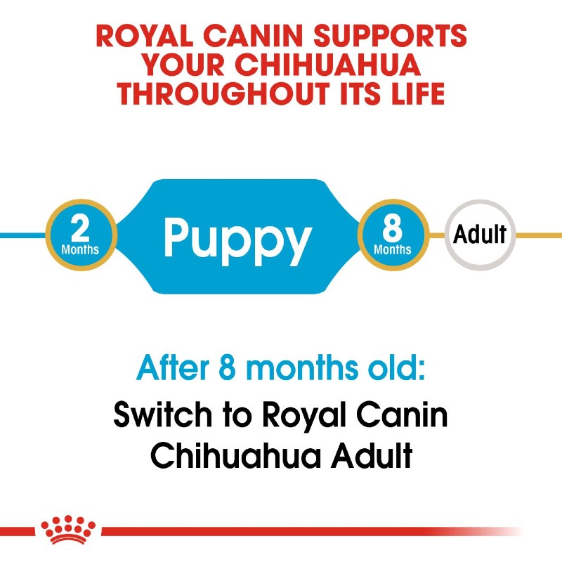 Royal Canin Chihuahua Puppy Infographic 9