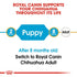 Royal Canin Chihuahua Puppy Infographic 9