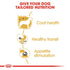 Royal Canin Chihuahua Adult Wet Food Pouch Infographic 5