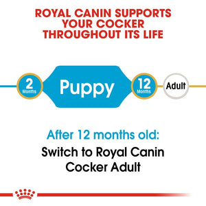 Royal Canin Cocker Spaniel Puppy Infographic 1
