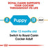 Royal Canin Cocker Spaniel Puppy Infographic 1