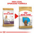 Royal Canin Cocker Spaniel Puppy Infographic 6