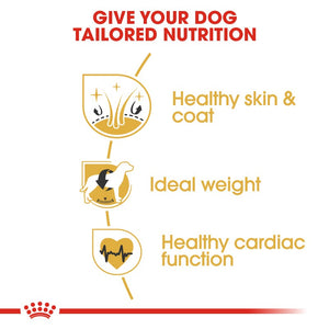 Royal Canin Cocker Spaniel Adult Infographic 3