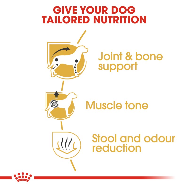 Royal Canin Dachshund Adult Infographic 3