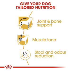 Royal Canin Dachshund Adult Infographic 3