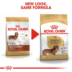 Royal Canin Dachshund Adult Infographic 4