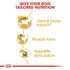 Royal Canin Dachshund Adult Wet Food Pouch Infographic 3