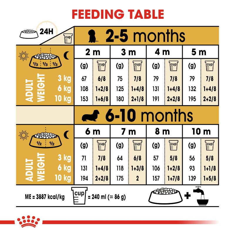 Royal Canin Dachshund Puppy Infographic 5