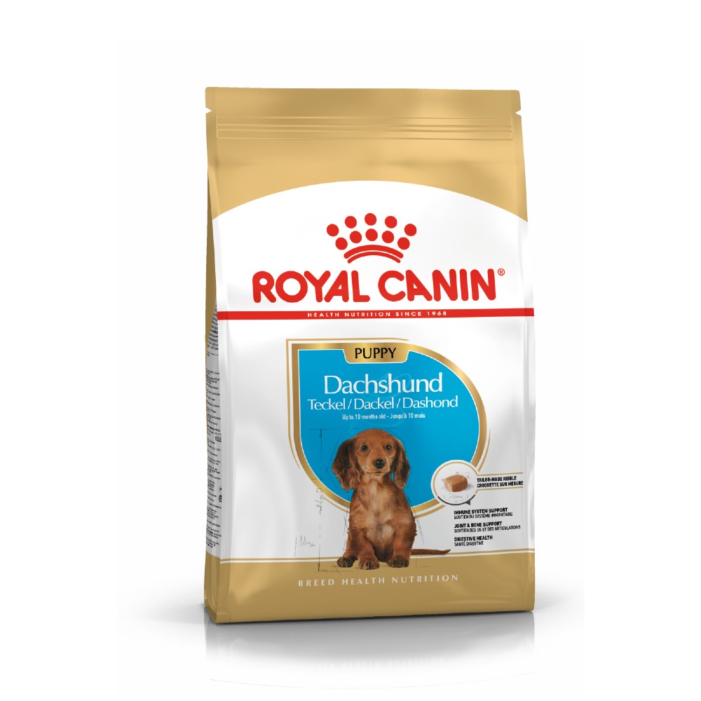 Royal Canin Dachshund Puppy